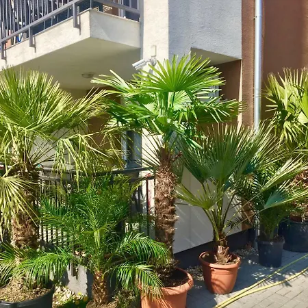 Balint & Timi Wellness Apartman