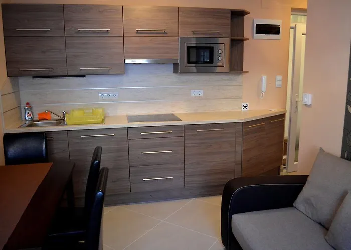 Апартаменты Balint & Timi Wellness Apartman *